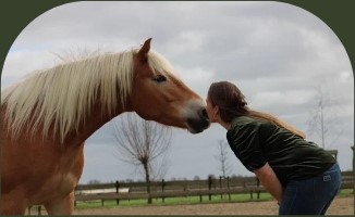 PaardencoachHolland