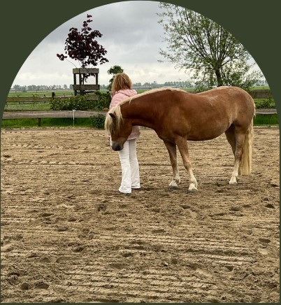 PaardencoachHolland