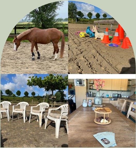 PaardencoachHolland