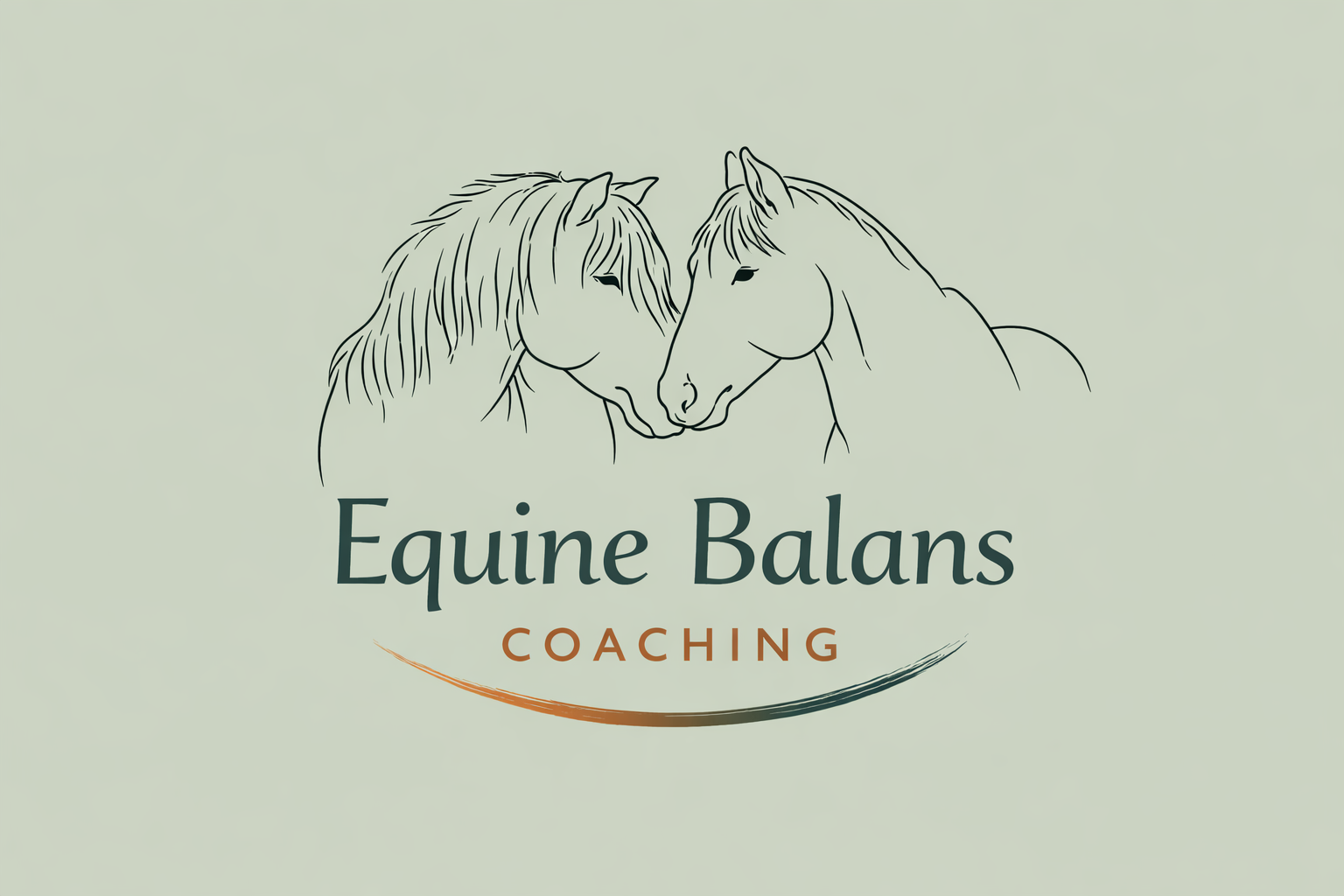 Equine Balans Coaching - Paardencoach