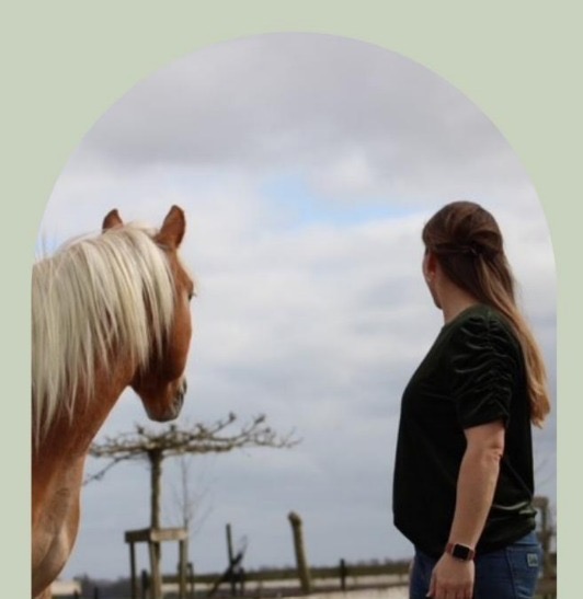 Equine Balans Petra van der Vlugt & Whisper